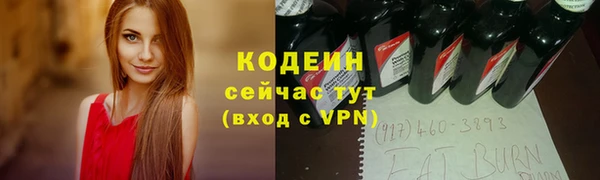 крисы Вяземский