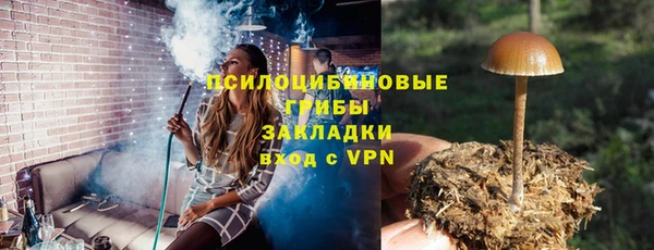 Альфа ПВП Вязьма