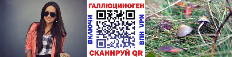Псилоцибиновые грибы мухоморы  гидра маркетплейс  Чекалин  где купить наркоту 